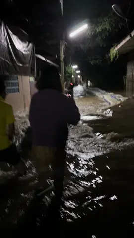 แม่น้ำเจ้าพระยา #น้ําท่วม #น้ําท่วม68 ##สรรพยาชัยนาท