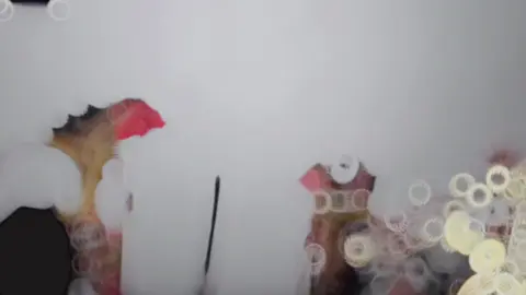 Pisan ae kek bungkek🍷 #wayangkulit #wayangjawa #burisrowo #setyaki #madiun24jam 