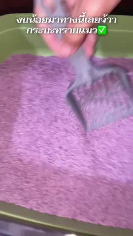 #ทรายแมว #กระบะทรายแมว #นายหน้าtiktokshop #เอาขึ้นหน้าฟีดที #กระบะ 