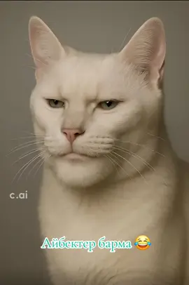 бөлік 585#Айбекәзілюмор #fur#elbruso#broject  #рекомендации 