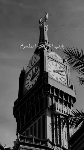 يارب أنا راضي المقسوم | عمر العيسى #اناشيد #اناشيد_بدون_موسيقى #اكسبلور #عمر_العيسى #هدوء_الحياة