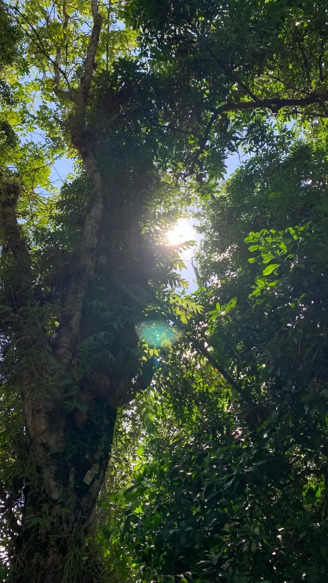 #fyp #somebodyspleasure #azizhedra #abcxyz #promomakan1111 