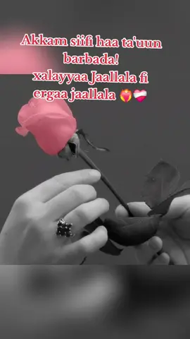 #foryoupageofficiall❤️❤️tiktok #foryoupage #ethiopian_tik_tok🇪🇹🇪🇹🇪🇹🇪🇹ሀገሬ #oromotiktok❤️💚❤️ethiopiantiktok #foryou 