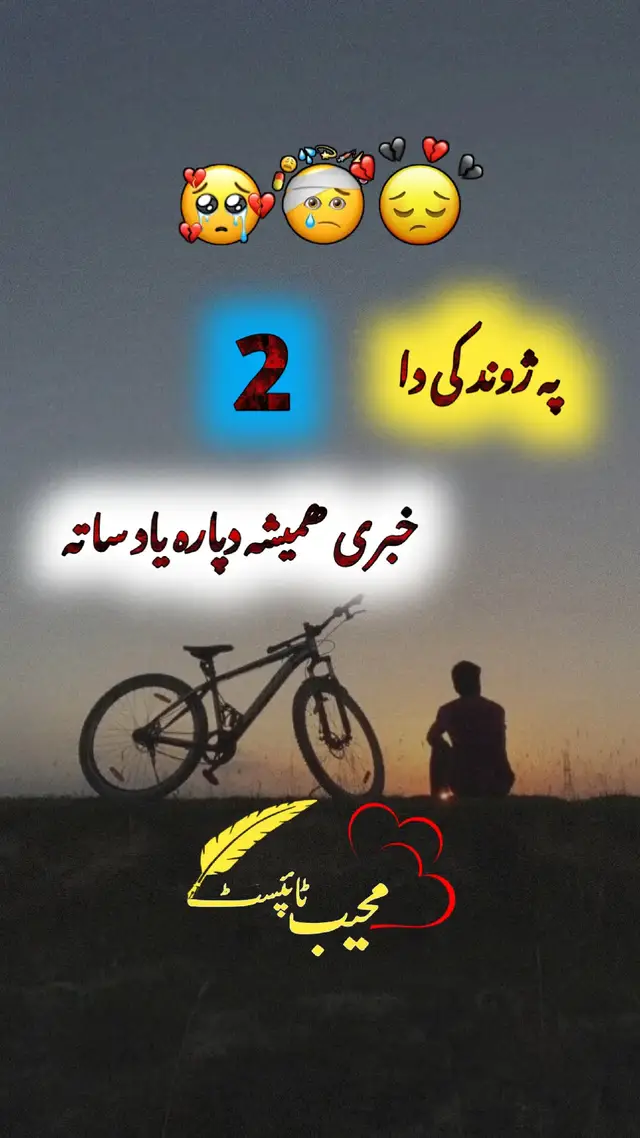#pashtopoetry #pashtolines #pashtostatus #pashtoshayari #mohibtypist6 