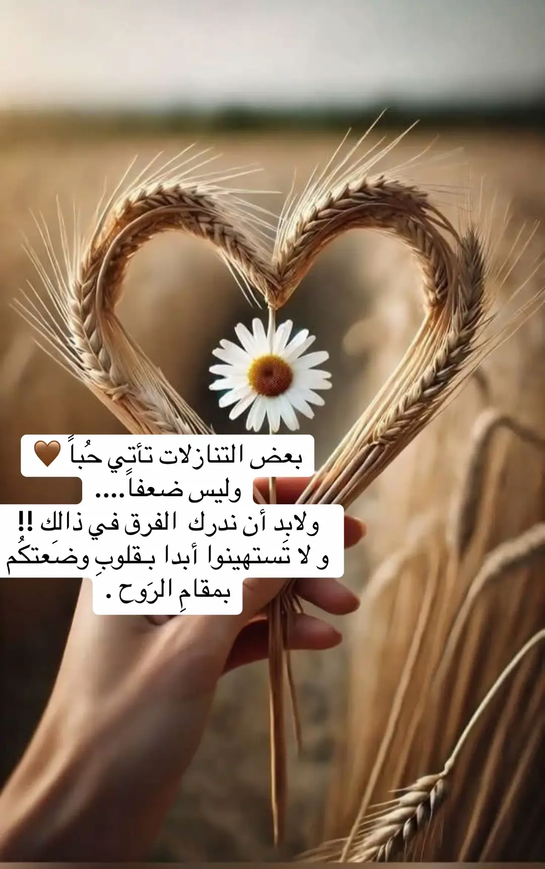 #foryoupage #explore #tiktok #الحب #فيروز 