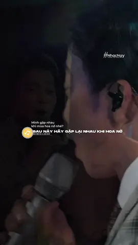 Mình gặp nhau khi mùa hoa nở nhé ... #nhacnaynghelanghien #saunayhaygaplainhaukhihoano #lannha #nguyenha 