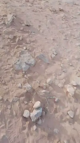 #السلوم #ليبيا #السلوم #السلوم_حدود_مصر_الغربيه🇱🇾 