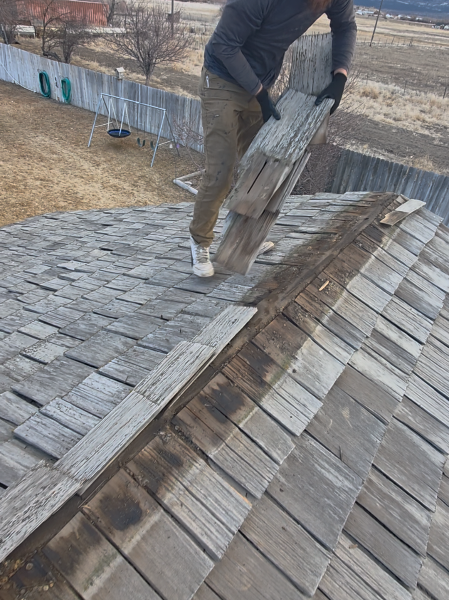 tearing off cedar ridge  #roofing #roofer #ruferos #satisfying #fyp #foryou #fastestroofer #construction #shingles #asmr #bestroofer #viral #roofersoftiktok 