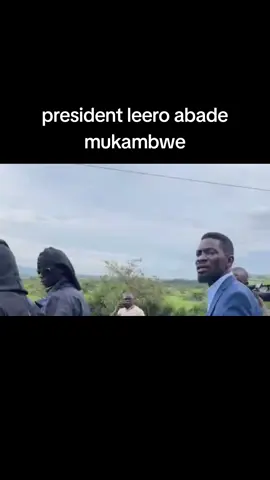 alangide abasilikale