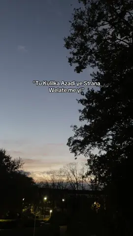 #fyyyy #fyppp #keşfetbeniöneçıkar #keşfet #fypp 