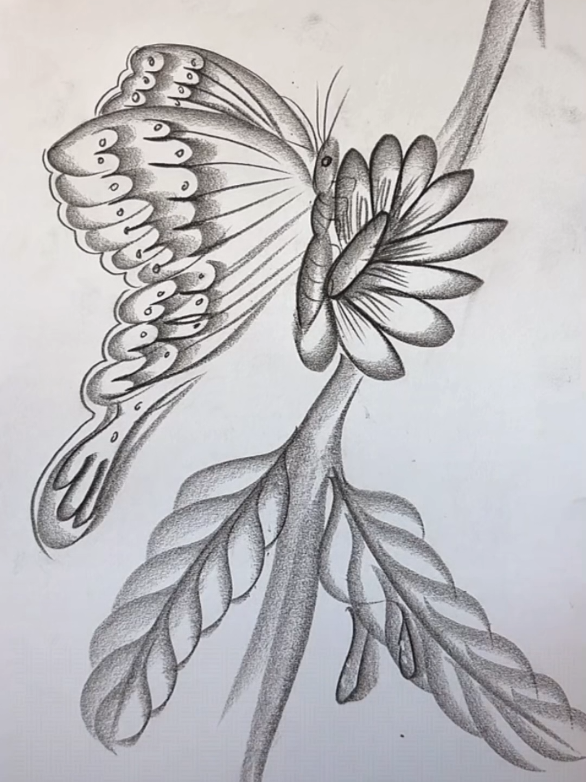 How To Draw a Butterfly on Flowers  . . . #artistsoftiktok #drawingforbeginners #drawingchallenge #howtodraw #artist 