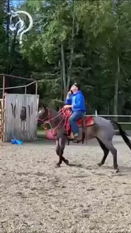 🎉Quick Tips To Become Your Horse's Leader! Give your horse the reins to go forward. ✨Want Help With Your Horse? Comment Or DM Us The Word 