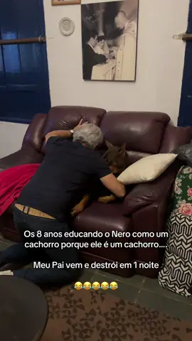 Difícil, difícil… 😂  O melhor é ele me olhando tipo “não tenho culpa 🤷🏻‍♂️”  #cachorro #doberman #nero