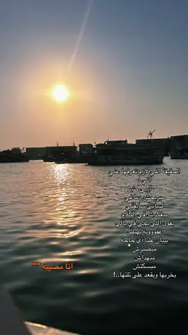 #ياحمام_بتنوح_ليه_ع_فراق_الحابيب 