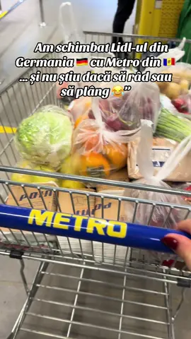 #lidl🇩🇪 #metro🇲🇩 #înapoiacasa #acasa #iubesteviata 
