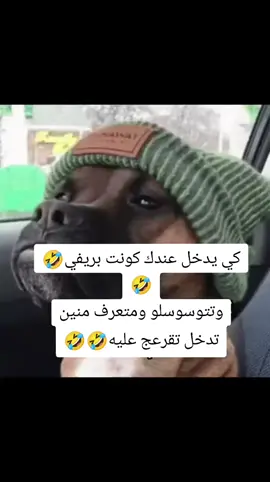 #maroco🇲🇦algeria🇩🇿tunisia🇹🇳 #الجزائر🇩🇿_تونس🇹🇳_المغرب🇲🇦 #😂😂😂 #🤣 #ضحك 