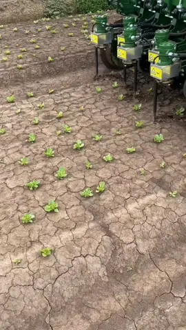 #quran  #alquran  #quranrecitation  #quran_alkarim  #recitation_of_the_quran 