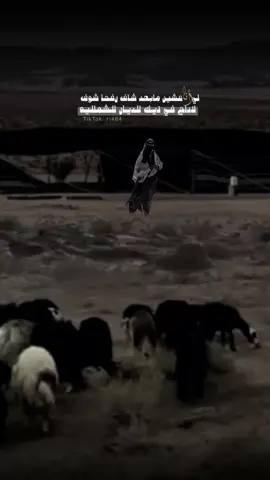 #مالي_خلق_احط_هاشتاقات #pyfツ 