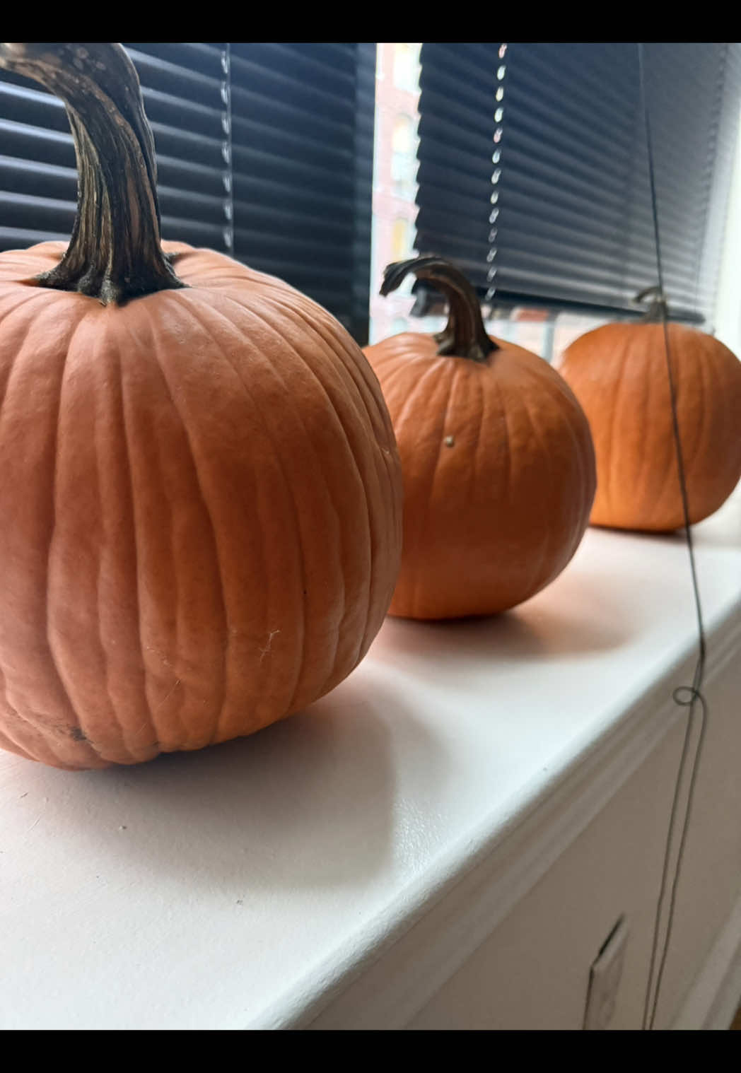 Love the scenery 🤏🏾  #fypシ #foryoupage 