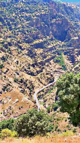 سلاف بؤ هه موو هه ڤالا🌹🥀🥀🌹 @Idris Zebari  @Idris Zebari  @Idris Zebari #viraltiktok #xuhuong #dance #humor #iphone15promax 