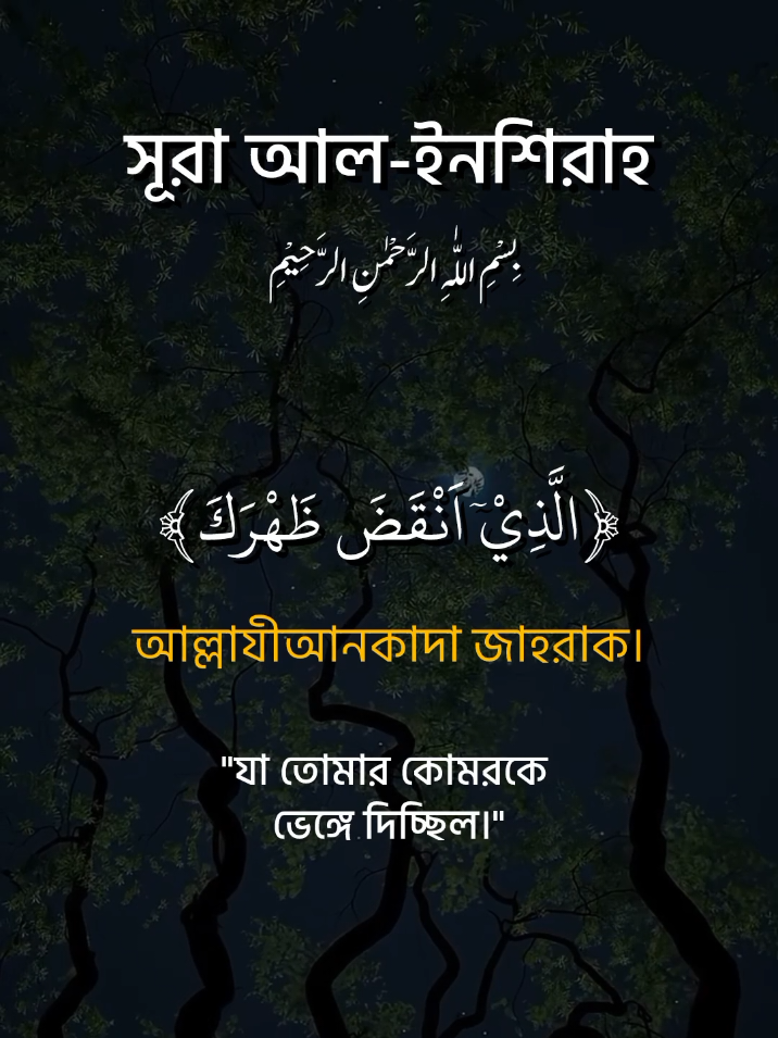 সূরা আল ইনশিরাহ তেলাওয়াত।#qurantilawat #কোরআন_তেলোয়াত #আয়াতুল_কুরসি #সুরা_হাসরের_শেষ_৩_আয়াত🥰🥰 #foryou 