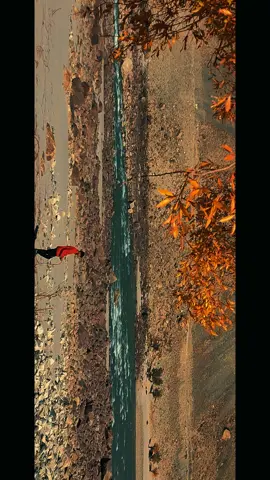 یہ تو آغاز مصائب ہے اے دل نہ گھبرا ابھی تو اور بھی - پریشاں ہونا ہے #CAPTION #CAPTION #caption 