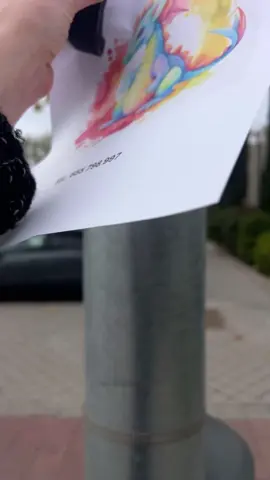 Dragón perdido… avisad por vuestro bien.  #humor #espana #viralvideos #inesperado #finalinesperado 