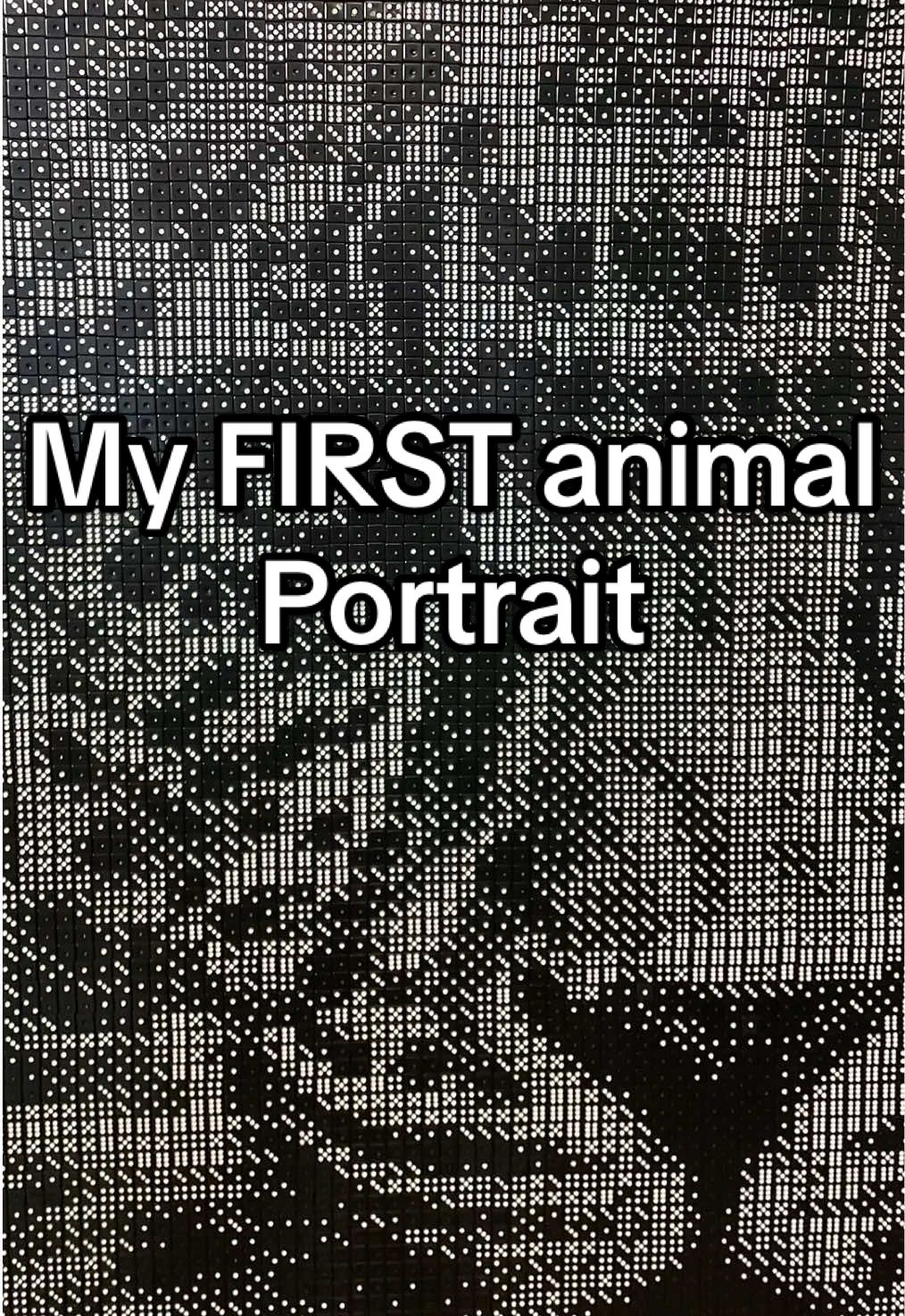 My first animal portrait… and this jaguar sold faster than anything before.🤩