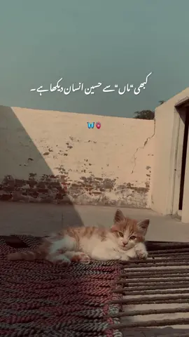 Repost plz 1million views #urduline #lines #poetrystatus 