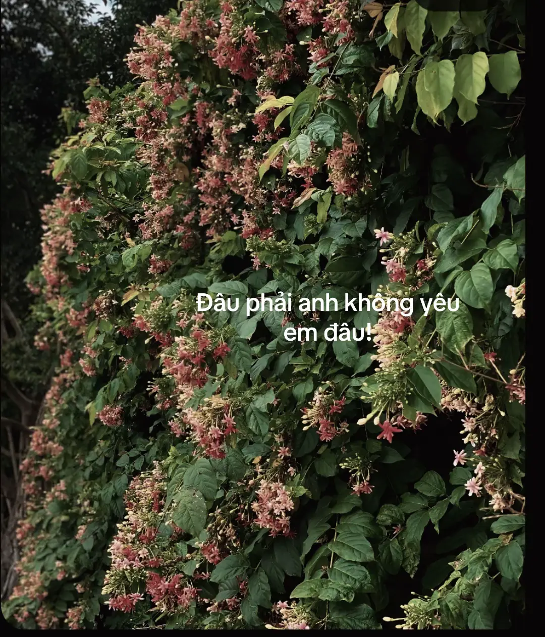 Đâu ai đúng mãi được!