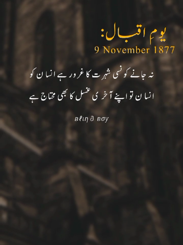 𝟗 𝐍𝐨𝐯𝐞𝐦𝐛𝐞𝐫 𝐈𝐐𝐁𝐀𝐋 𝐝𝐚𝐲