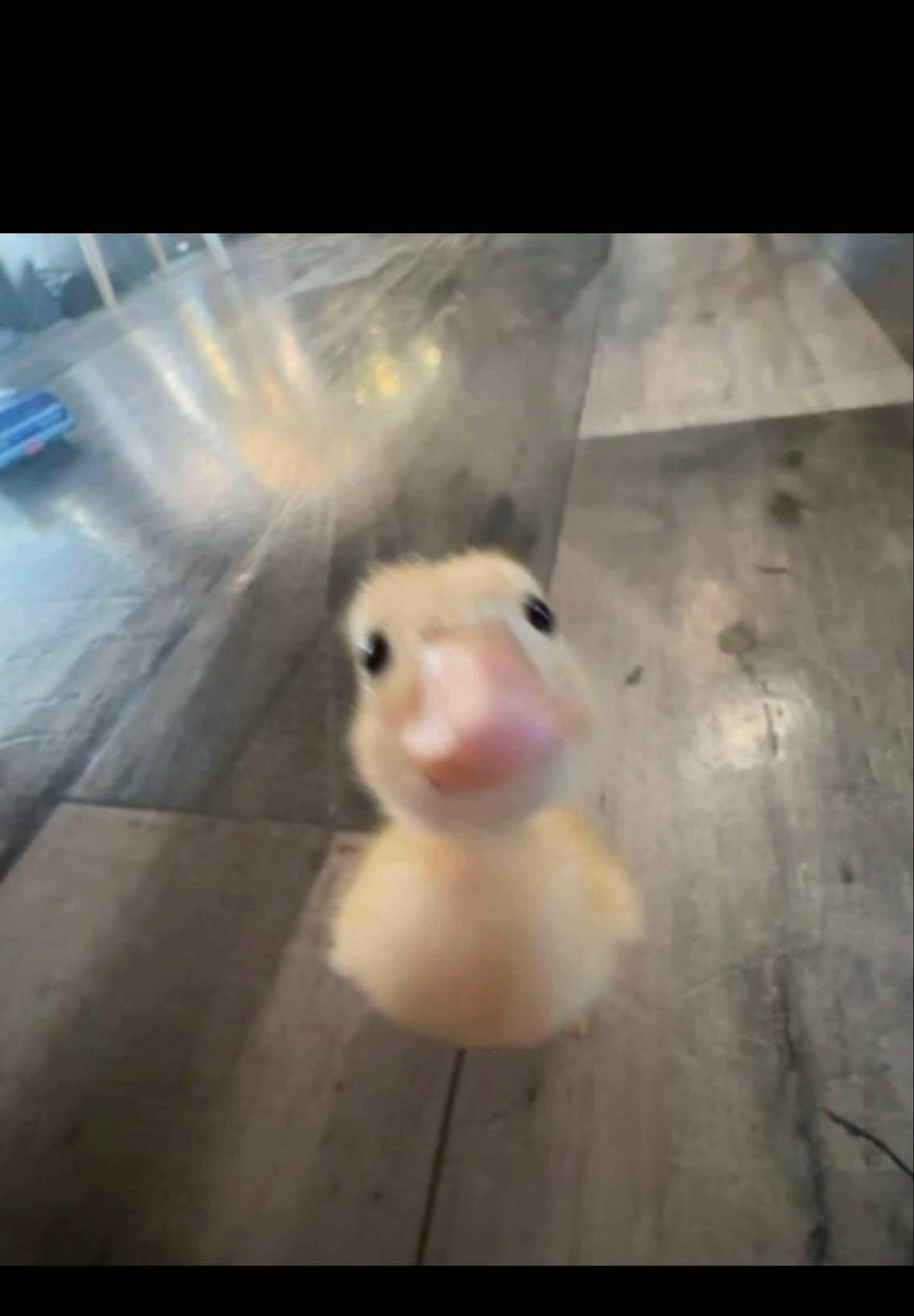 Còn chúng mình thì đến lúc lĩnh lương mới thấy lạnh🥶 @Đặng Viết Thành nhờ :)))) #kanagawa 