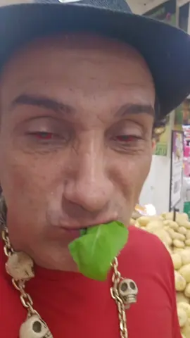 É RUCULA 🌱#kimbandadomagno #magno #MestreMagno #magnodeogum #exumagno 