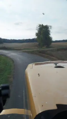 #fyp #farmlife #lime