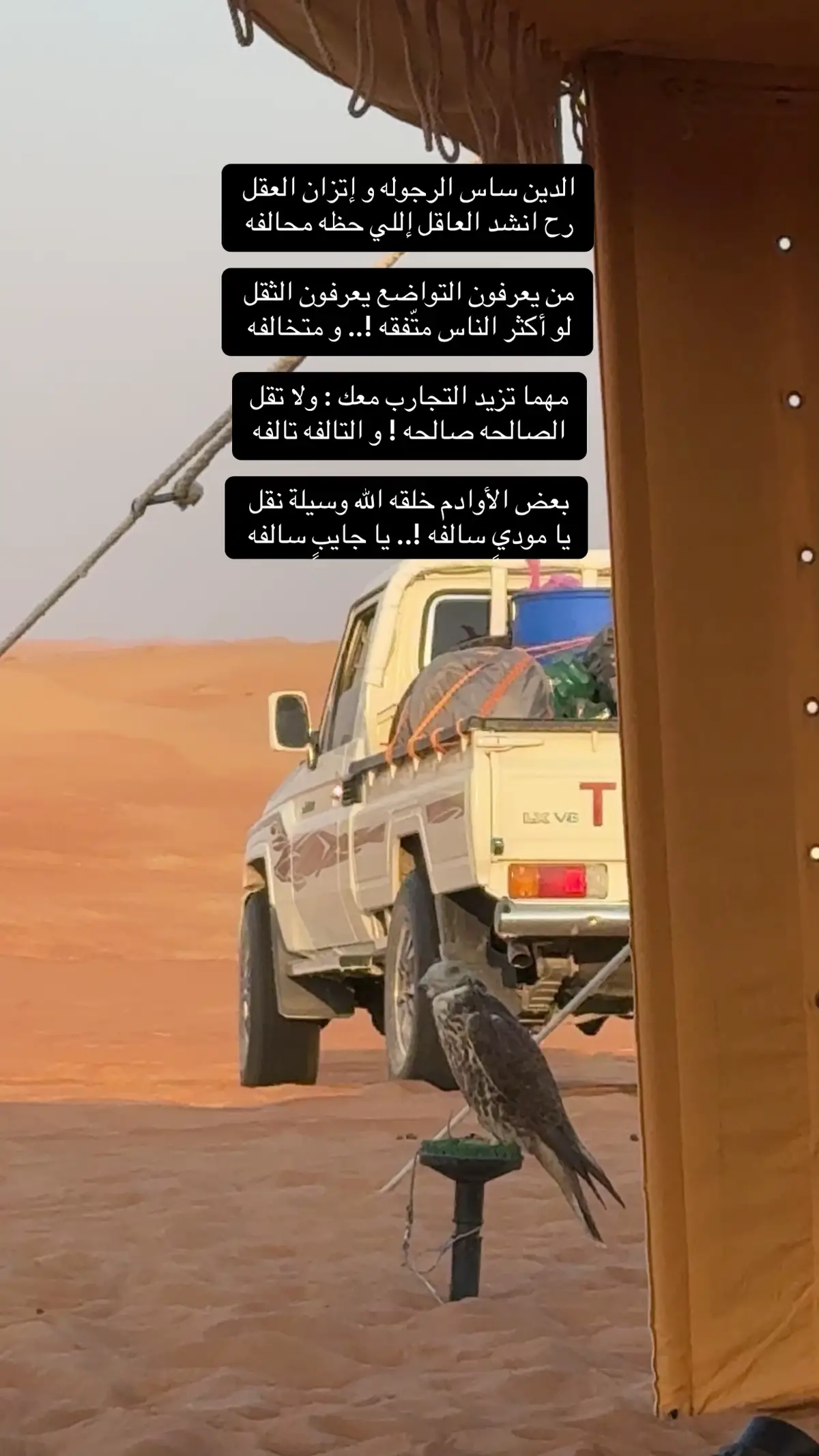 #اكسبلورexplore 