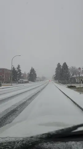 Edmonton snow #edmonton #canada_life🇨🇦 