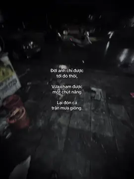 Phần 335: #ninhđen 