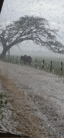 El tiempo de Dios es perfecto🫠