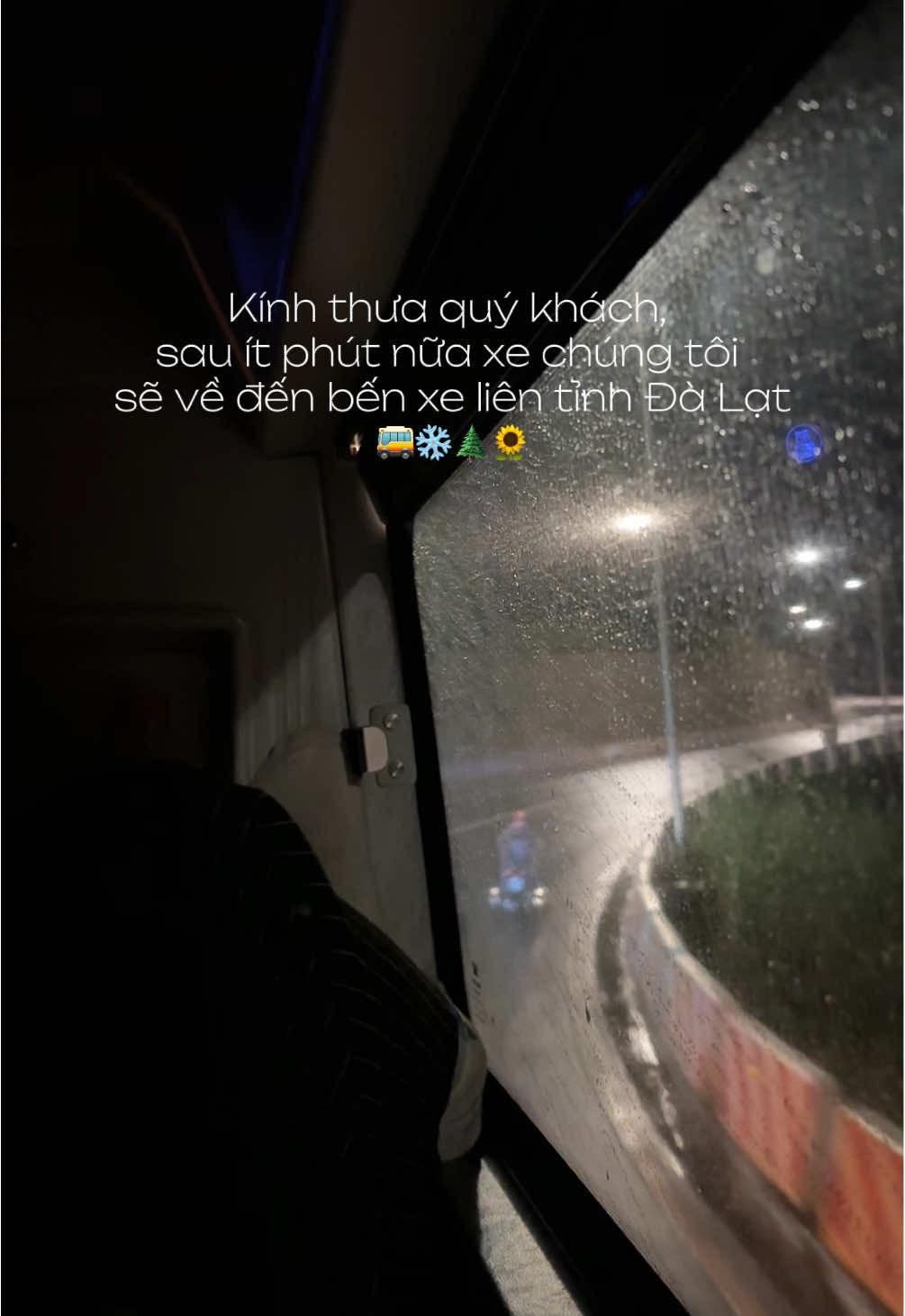 bạn bè lấy chồng, cưới vợ hết rồi còn em thì sao?....em thì đi du lịch 1 mình vui lắm ạ🌲🌷#dalat #solotrip #dulichvietnam #xuhuong #fyppppppppppppppppppppppp 