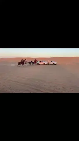 لول وثاني طرق 🤐الشيخه بروق وشيخ فخر #رايكم #بالفيديو #خيل_وخياله🐎 