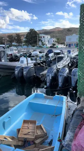 #fyp #capcutvelocity #tiktok #🇫🇷 #حراق_حي_ولا_ميت👌💔 