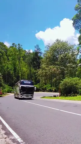 Iah beginilah Kalo HINO RM standar di Tanjakan harus extra sabar🤧😂#fy #fyppppppppppppppppppppppp #fouryoupage #hinorm280#tanjakanextreem 