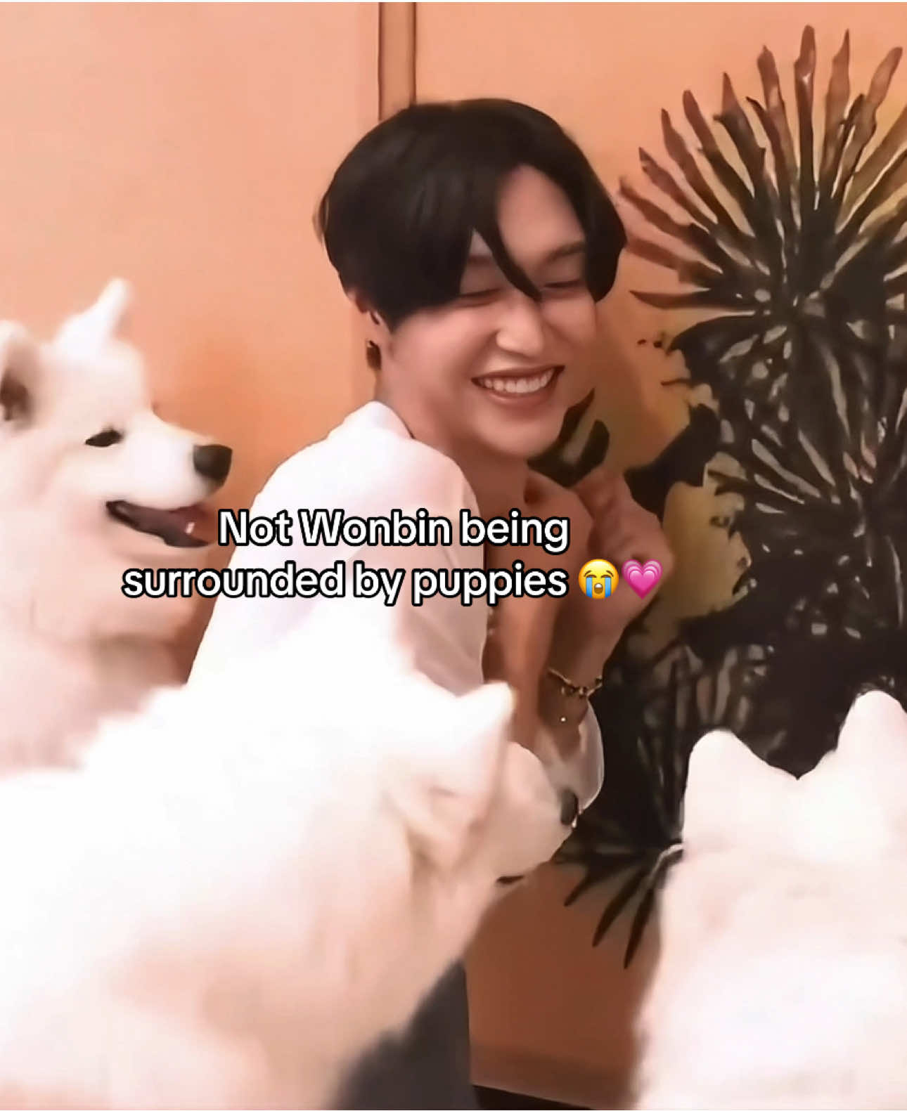 dikerubungin 🤣 #wonbin #RIIZE #라이즈 