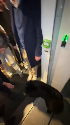 #attal #volta #trend @Gabriel Attal 