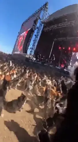 #tiktokindia2020  #fyppppppppppppppppppppppp  #الشعب_الصيني_ماله_حل😂😂  #حفلات  #العراق  @انمار دعم الحسابات 