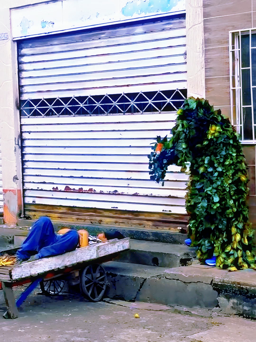 Watch out for the vulture! #funny #funnyvideos #funnymoments #funnyprank #comedy