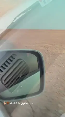 #حمام #explore #طيور #تبارك_الله #ذكر_الله 