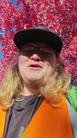 you 'member? I 'member...