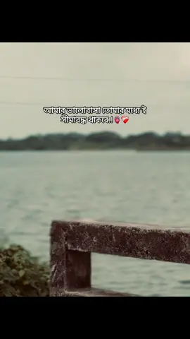 আমার ভালোবাসা তোমার মধ্যে'ই সীমাবদ্ধ থাকবে.!🥹❤️‍🩹