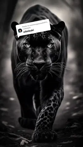 Replying to @ssentongoyusuf691 #foryou 